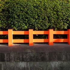 a fence in Kyoto - a classic transition from solid base through painted timber to green