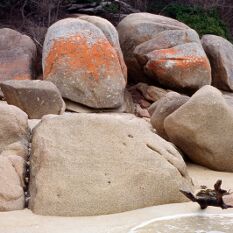 lichen covered boulders at Freycinet - I've always had a thing for orange in landscapes